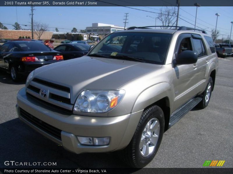 Dorado Gold Pearl / Stone 2003 Toyota 4Runner SR5