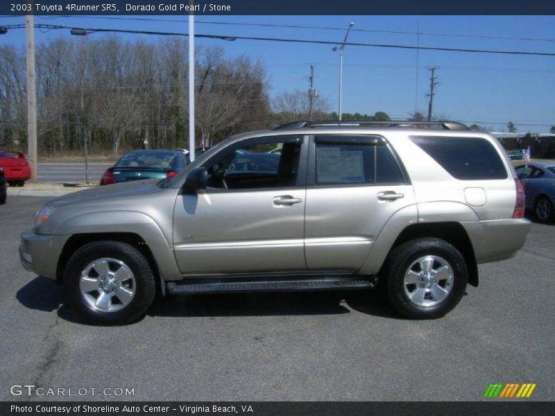 Dorado Gold Pearl / Stone 2003 Toyota 4Runner SR5