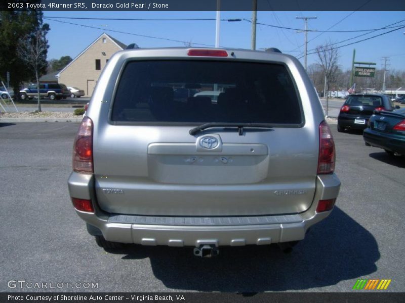 Dorado Gold Pearl / Stone 2003 Toyota 4Runner SR5