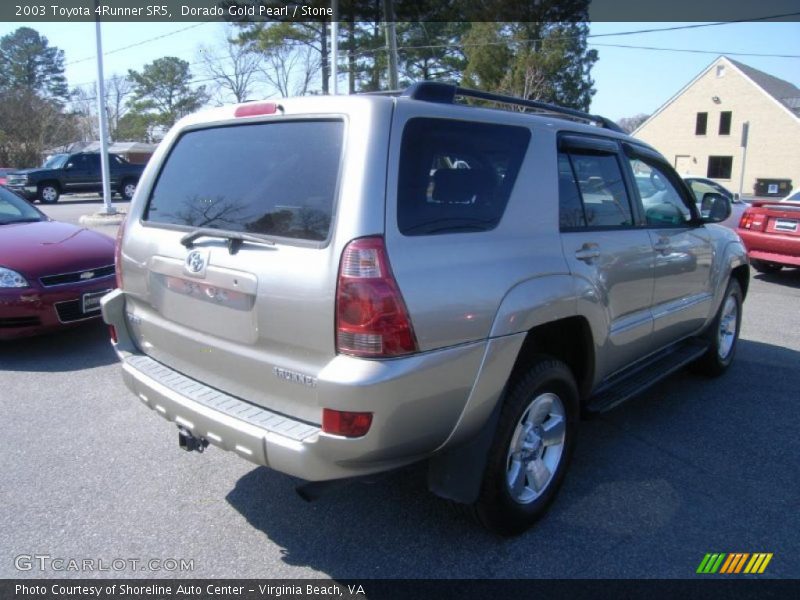 Dorado Gold Pearl / Stone 2003 Toyota 4Runner SR5