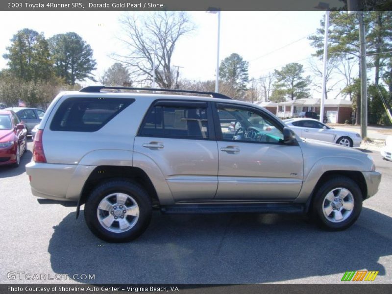 Dorado Gold Pearl / Stone 2003 Toyota 4Runner SR5