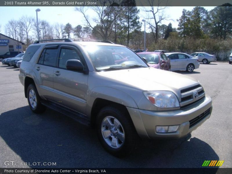 Dorado Gold Pearl / Stone 2003 Toyota 4Runner SR5