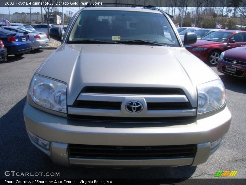 Dorado Gold Pearl / Stone 2003 Toyota 4Runner SR5