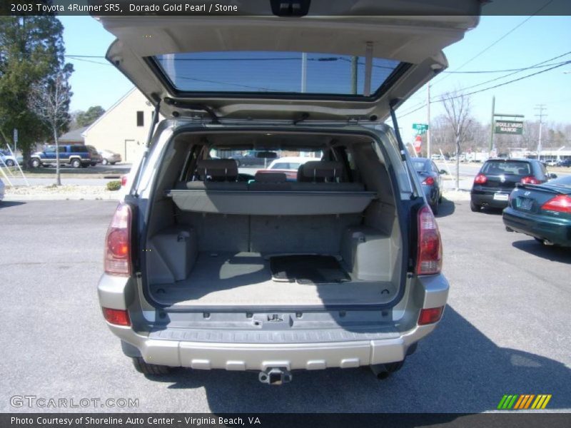 Dorado Gold Pearl / Stone 2003 Toyota 4Runner SR5