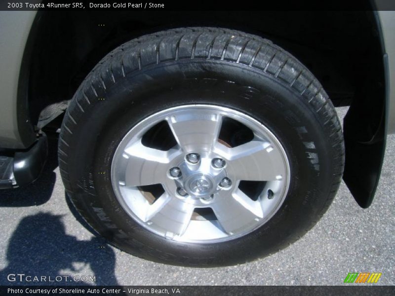 Dorado Gold Pearl / Stone 2003 Toyota 4Runner SR5