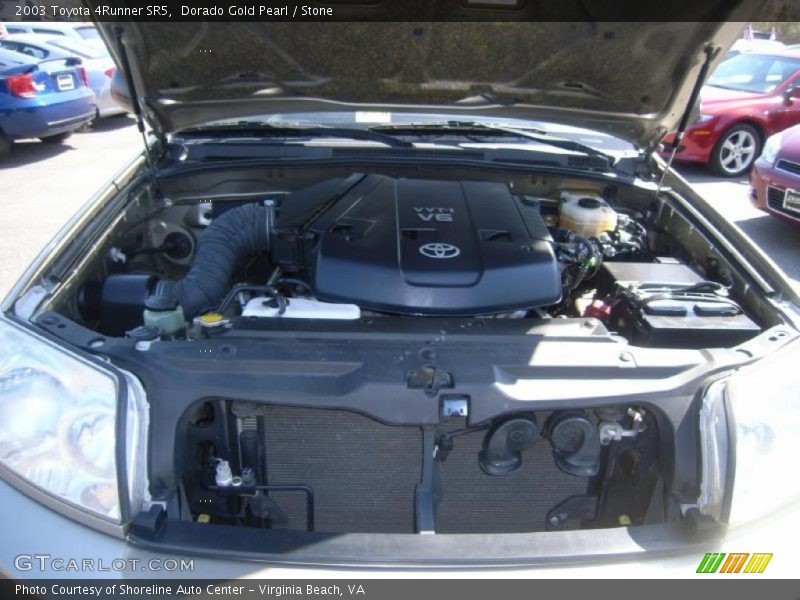 Dorado Gold Pearl / Stone 2003 Toyota 4Runner SR5