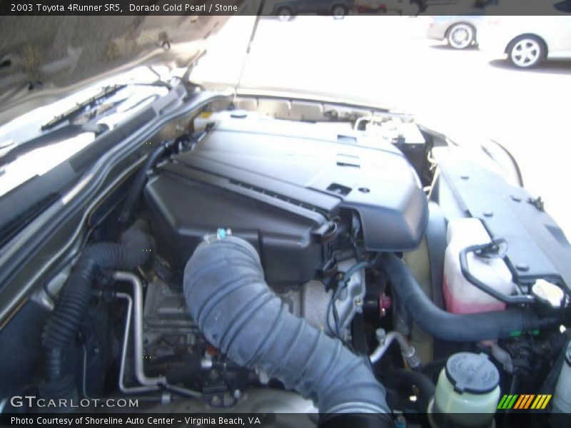 Dorado Gold Pearl / Stone 2003 Toyota 4Runner SR5