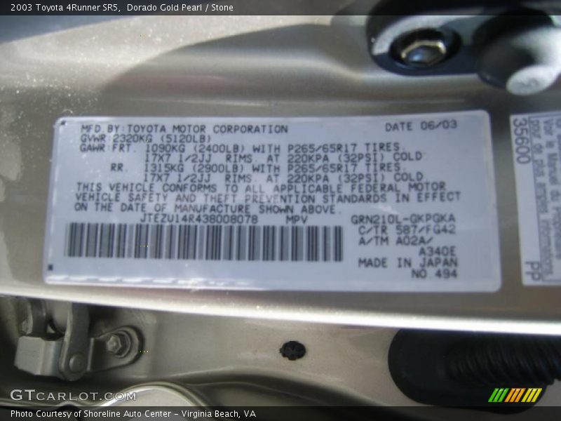 Dorado Gold Pearl / Stone 2003 Toyota 4Runner SR5