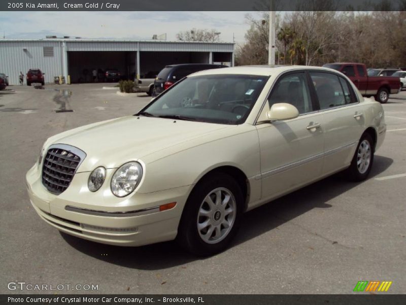 Cream Gold / Gray 2005 Kia Amanti