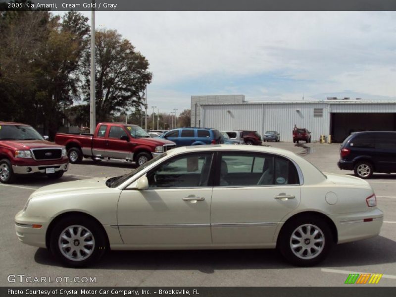 Cream Gold / Gray 2005 Kia Amanti