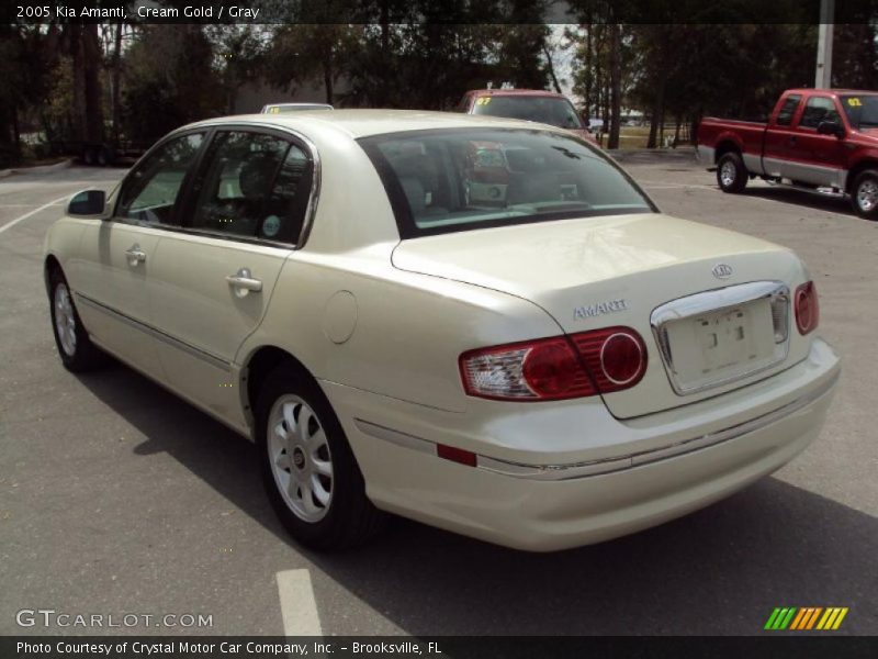 Cream Gold / Gray 2005 Kia Amanti