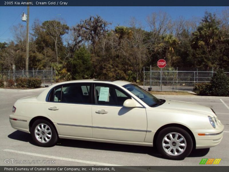 Cream Gold / Gray 2005 Kia Amanti