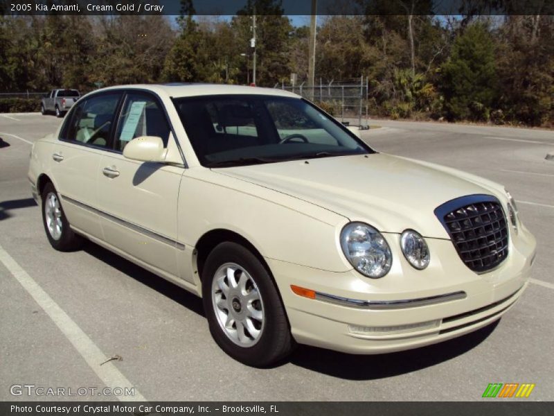 Cream Gold / Gray 2005 Kia Amanti
