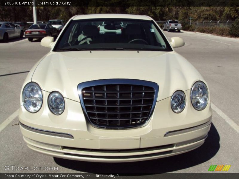 Cream Gold / Gray 2005 Kia Amanti