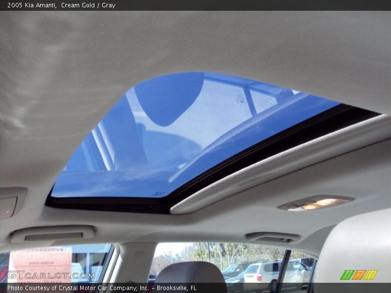 Cream Gold / Gray 2005 Kia Amanti