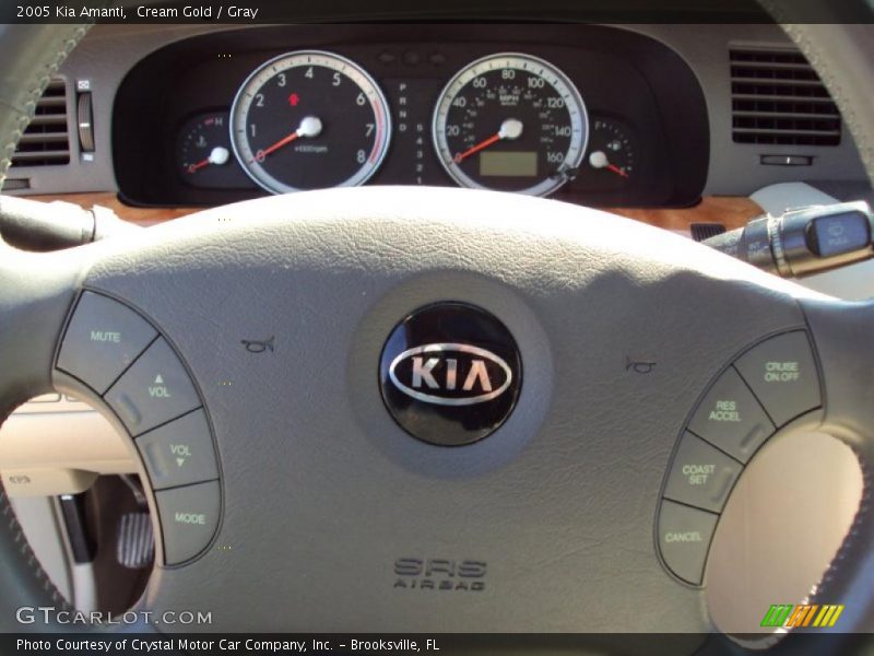 Cream Gold / Gray 2005 Kia Amanti