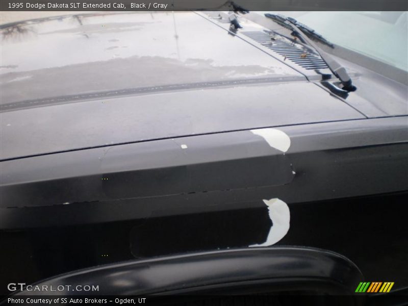 Black / Gray 1995 Dodge Dakota SLT Extended Cab