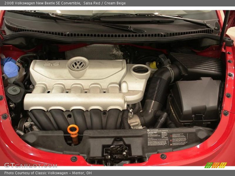 Salsa Red / Cream Beige 2008 Volkswagen New Beetle SE Convertible