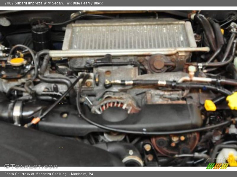 WR Blue Pearl / Black 2002 Subaru Impreza WRX Sedan