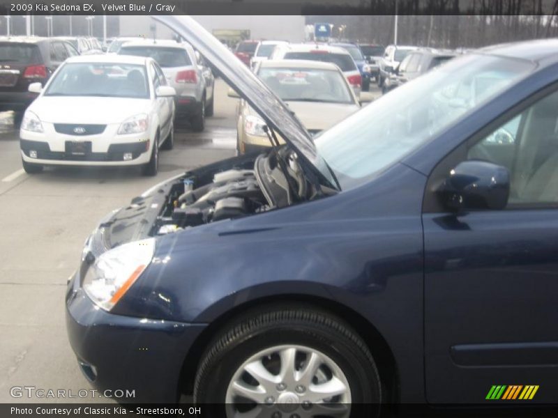 Velvet Blue / Gray 2009 Kia Sedona EX