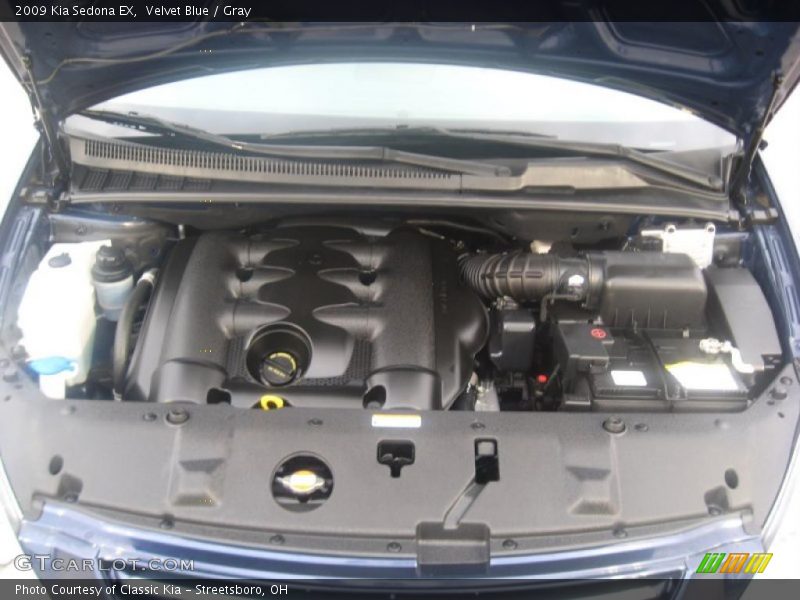 Velvet Blue / Gray 2009 Kia Sedona EX