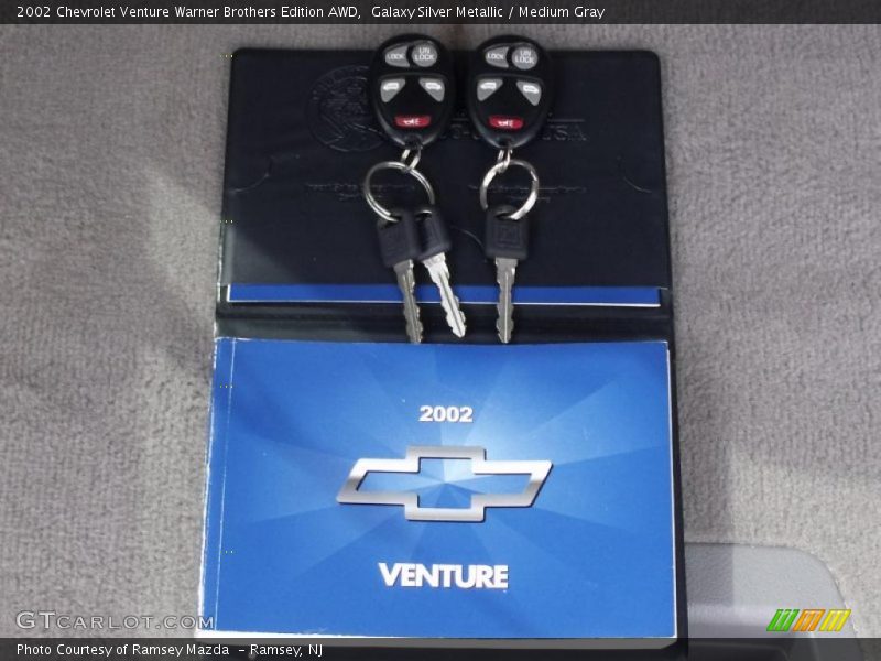 Galaxy Silver Metallic / Medium Gray 2002 Chevrolet Venture Warner Brothers Edition AWD