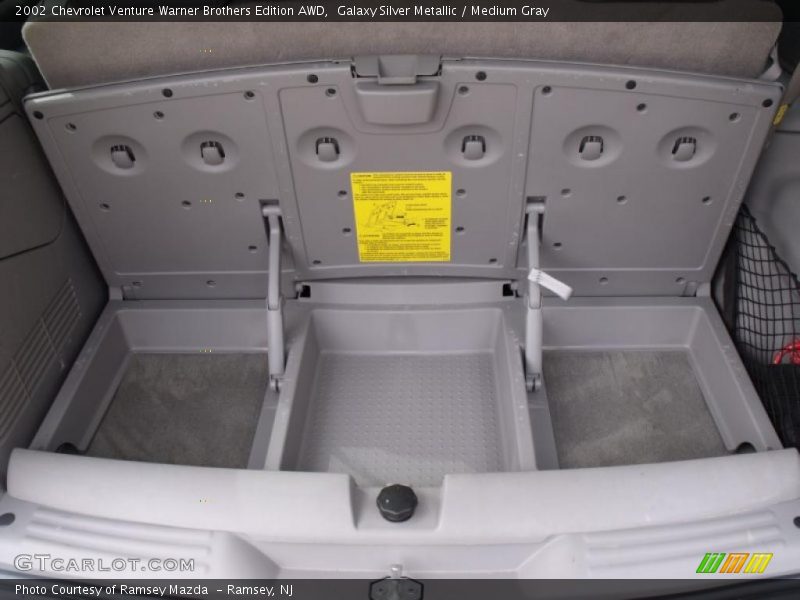 Galaxy Silver Metallic / Medium Gray 2002 Chevrolet Venture Warner Brothers Edition AWD