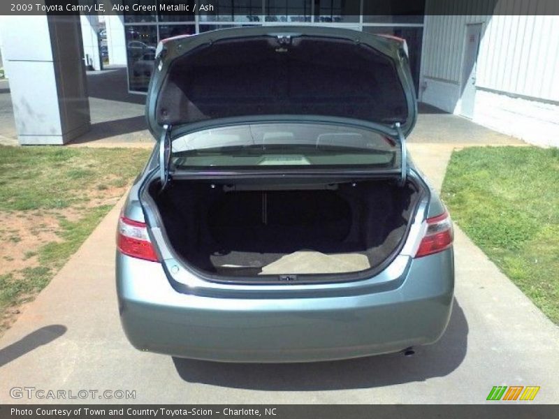 Aloe Green Metallic / Ash 2009 Toyota Camry LE