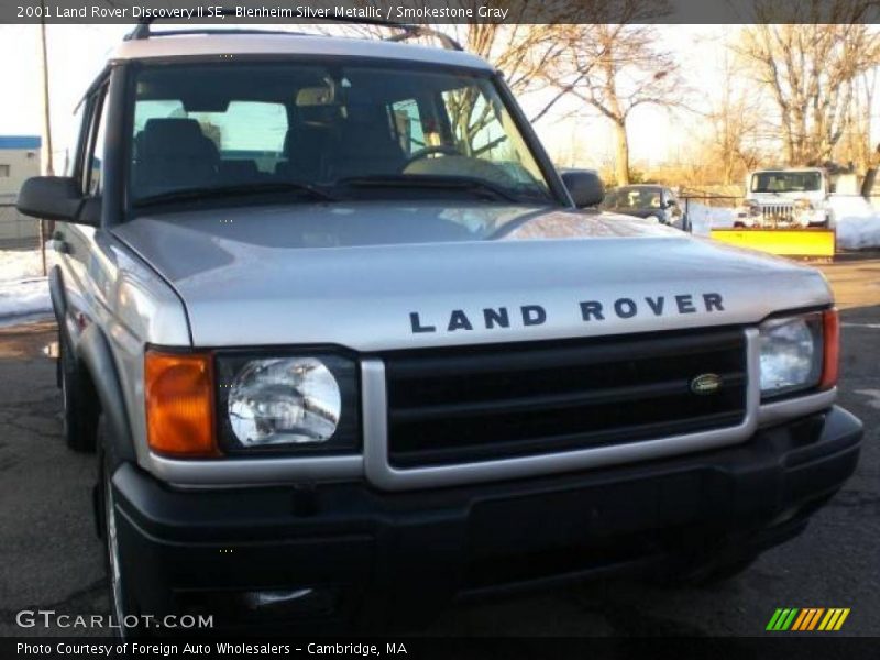 Blenheim Silver Metallic / Smokestone Gray 2001 Land Rover Discovery II SE
