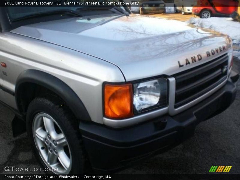 Blenheim Silver Metallic / Smokestone Gray 2001 Land Rover Discovery II SE