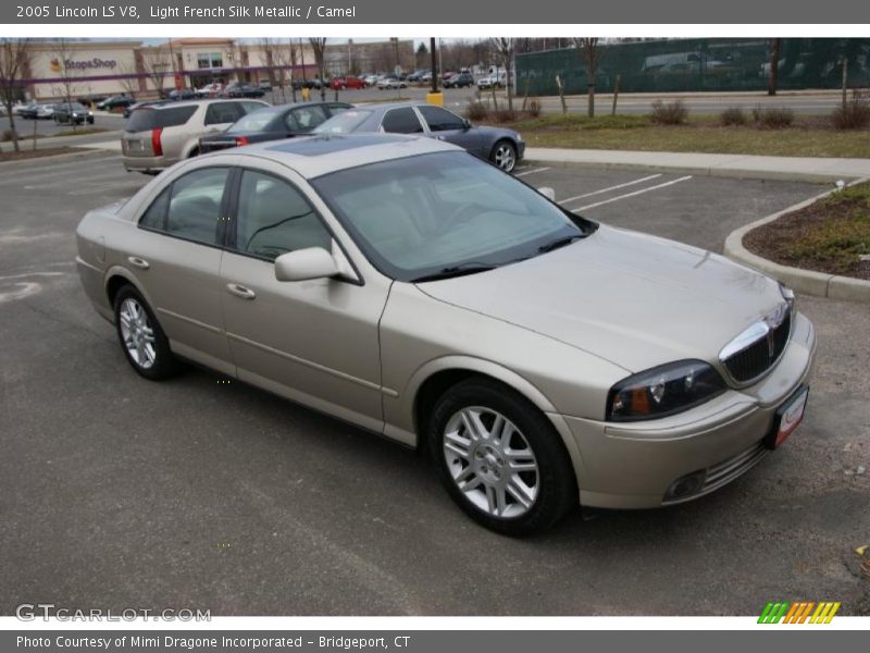 Light French Silk Metallic / Camel 2005 Lincoln LS V8