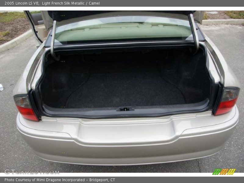 Light French Silk Metallic / Camel 2005 Lincoln LS V8