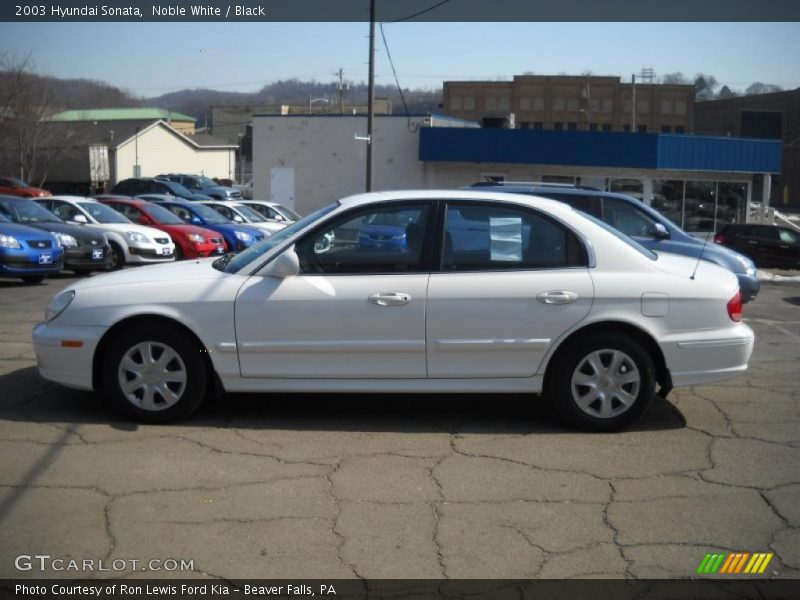Noble White / Black 2003 Hyundai Sonata