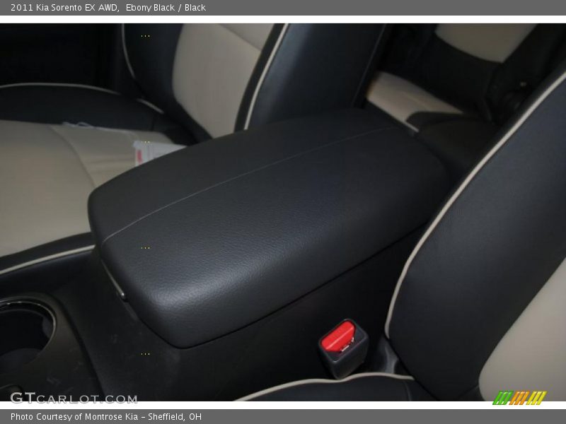 Ebony Black / Black 2011 Kia Sorento EX AWD