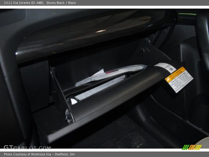 Ebony Black / Black 2011 Kia Sorento EX AWD