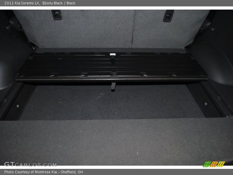 Ebony Black / Black 2011 Kia Sorento LX