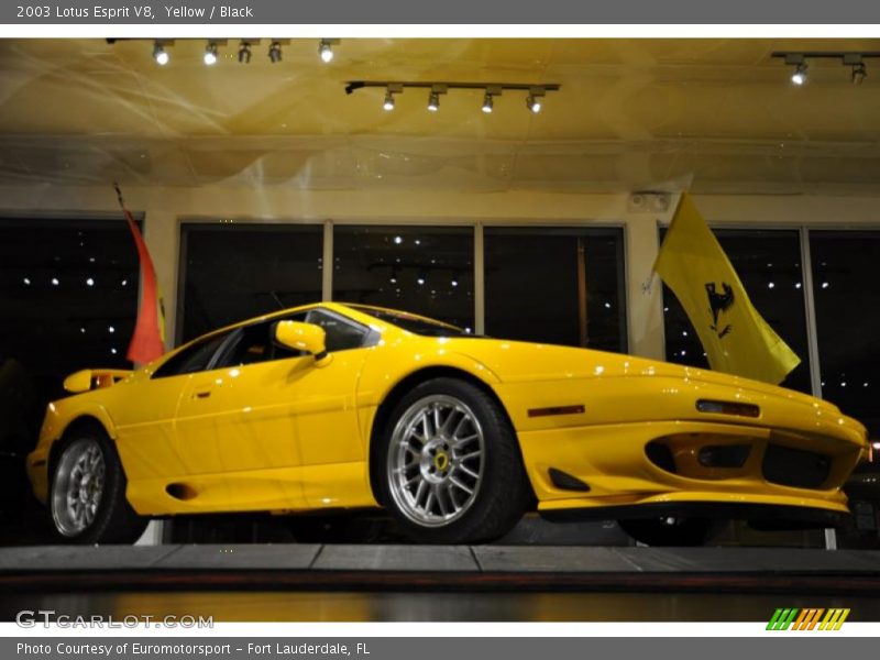 Yellow / Black 2003 Lotus Esprit V8