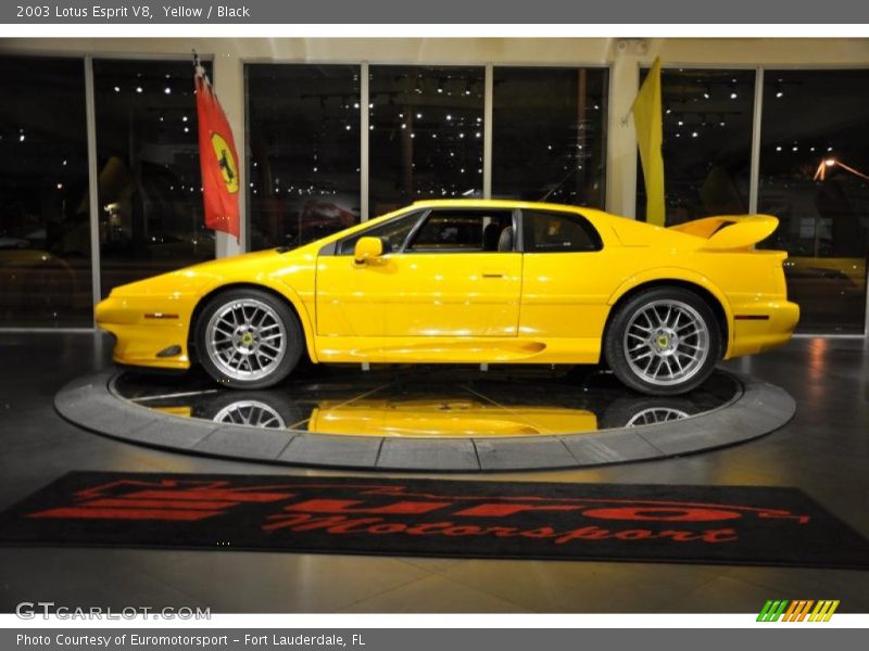 Yellow / Black 2003 Lotus Esprit V8