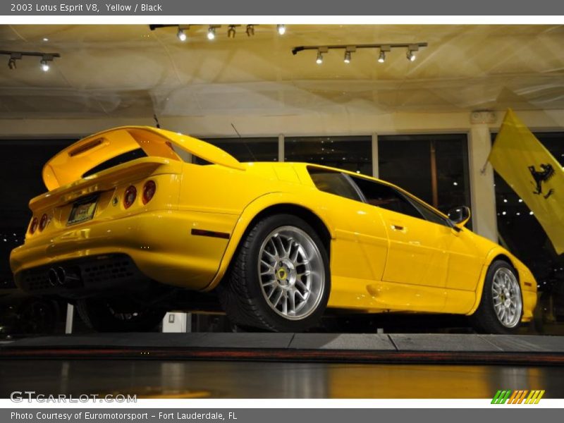 Yellow / Black 2003 Lotus Esprit V8