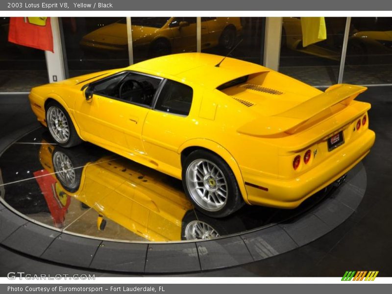 Yellow / Black 2003 Lotus Esprit V8