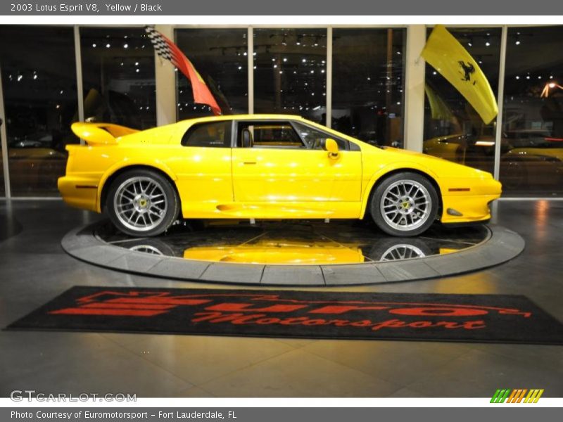 Yellow / Black 2003 Lotus Esprit V8