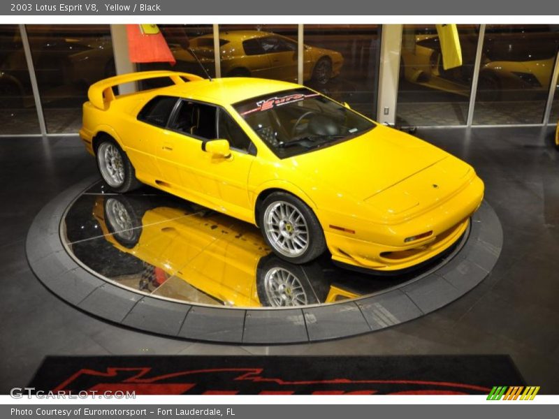 Yellow / Black 2003 Lotus Esprit V8