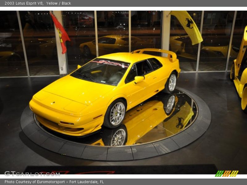 Yellow / Black 2003 Lotus Esprit V8