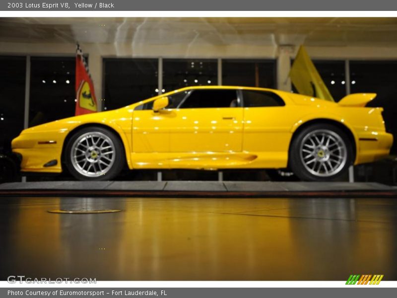 Yellow / Black 2003 Lotus Esprit V8