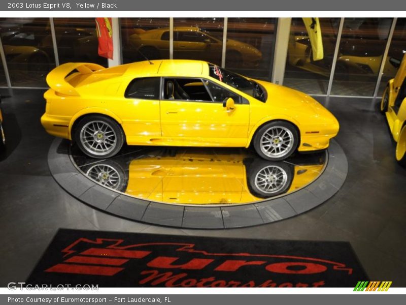 Yellow / Black 2003 Lotus Esprit V8