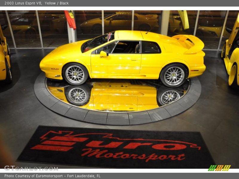 Yellow / Black 2003 Lotus Esprit V8