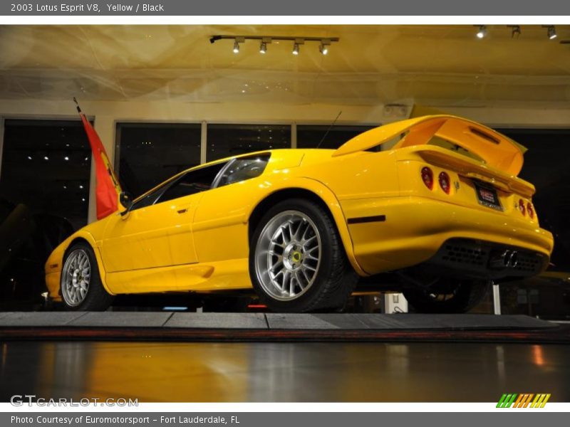 Yellow / Black 2003 Lotus Esprit V8