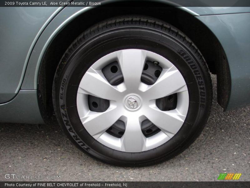 Aloe Green Metallic / Bisque 2009 Toyota Camry LE