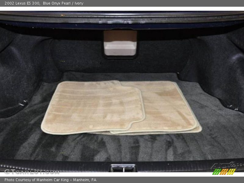 Blue Onyx Pearl / Ivory 2002 Lexus ES 300