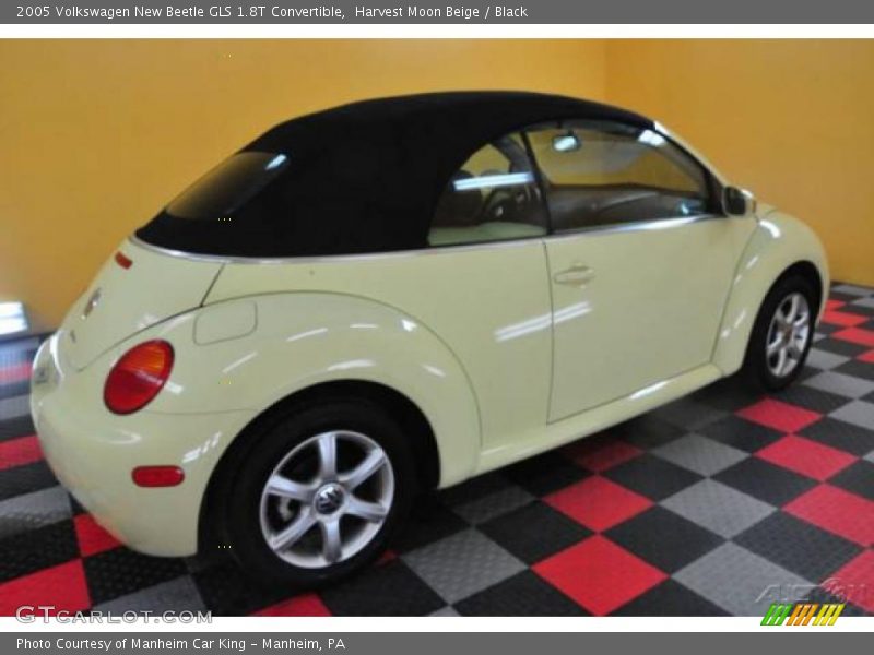 Harvest Moon Beige / Black 2005 Volkswagen New Beetle GLS 1.8T Convertible